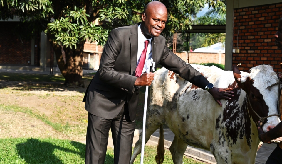 Gift from youth and adult